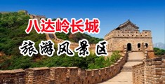 wwwww精品老色鬼中国北京-八达岭长城旅游风景区